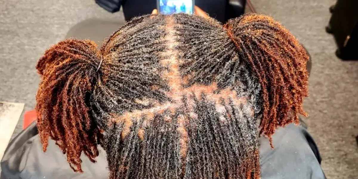 Top 10 Protective Braids – Styles That Keep Your Hair Healthy